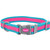 Pro Reflective Adjustable Dog Collar, Fuchsia with Teal, 1in x 20in