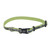 Lazer Brite Reflective Adjustable Dog Collar Shamrock, 3/8" X 08"- 12"