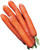 Burpee Carrot Seed Tape, 22.5ft