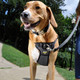Walk Right! Front-Connect No-Pull Padded Dog Harness