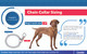 Titan Vinyl Comfort Tips for Dog Prong Training Collars, 24PC
