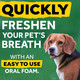 Tropiclean Fresh Breath Oral Care Foam, 4.50 oz