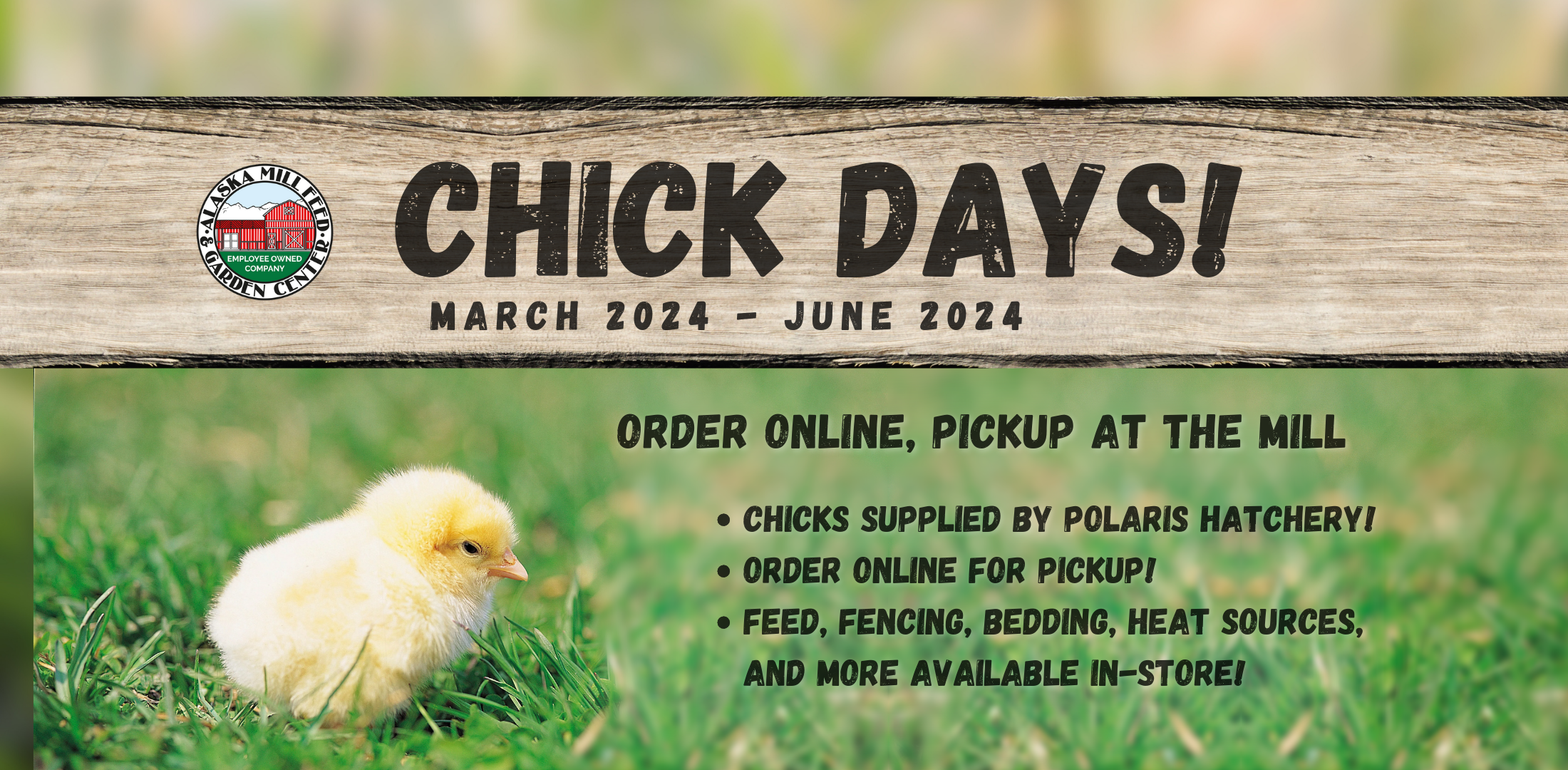 alaska mill and feed chick days infographic