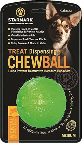 StarMark Everlasting Fun Ball Treat Dispensing Dog Toy - Northwest