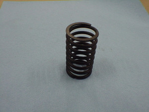 Valve spring inner