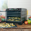 MightyBite® 6-Tray Dehydrator Dehydrating Apples