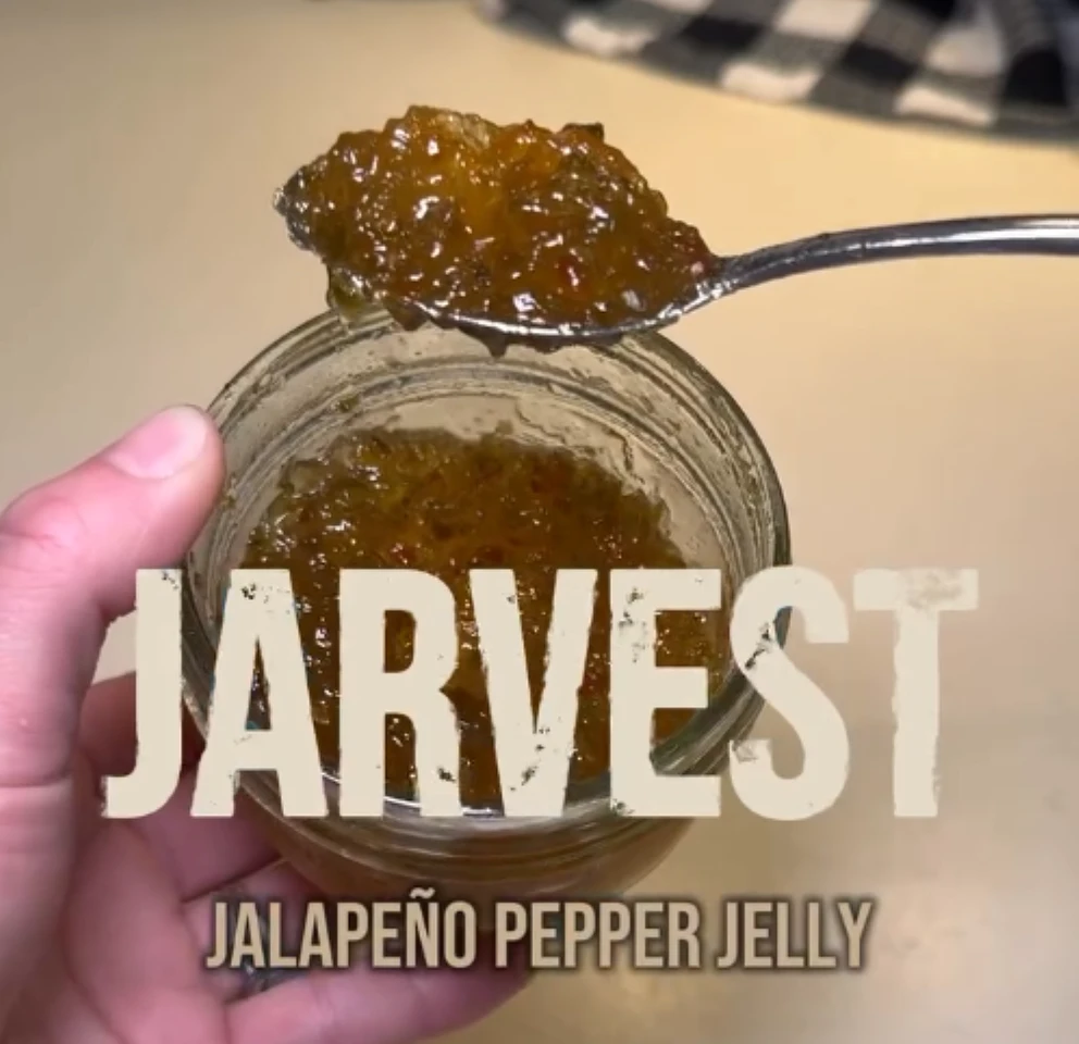 Homemade Jalapeño Jelly