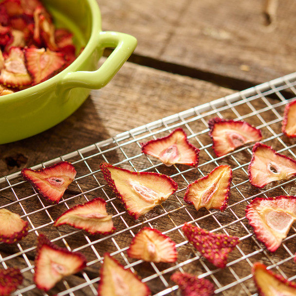 BigBite® 16-Tray Stainless Steel Dehydrator with Strawberries