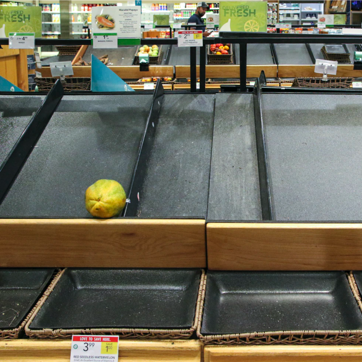 Four Lessons Learned from the Pandemic Panic - Roots & Harvest®
