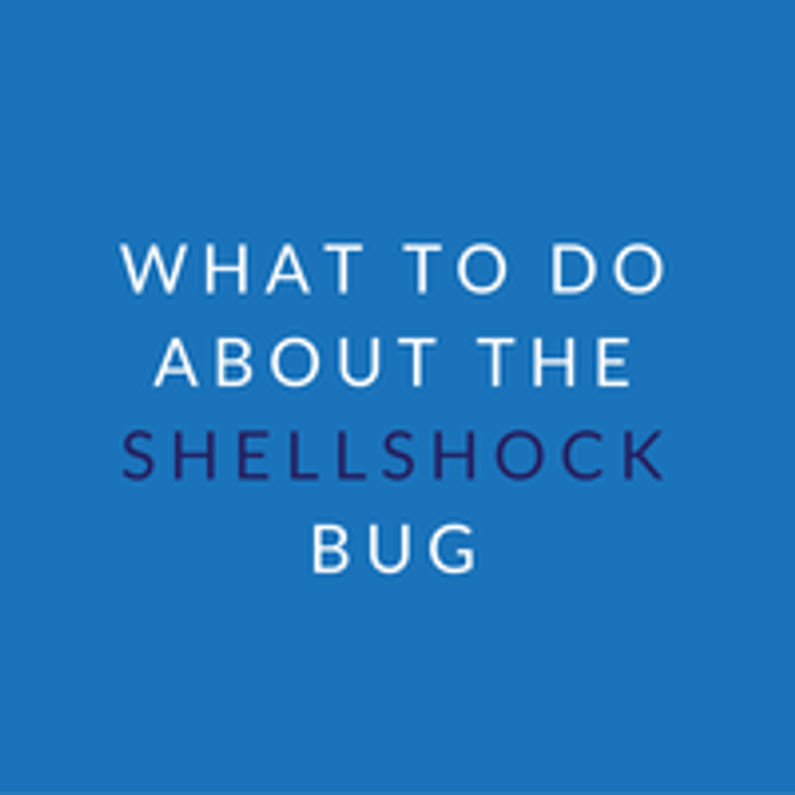 Shellshock - What it is and why it's important