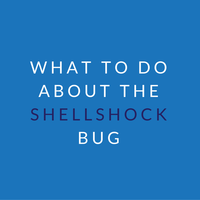 Shellshock - What it is and why it's important - Sabai Technology