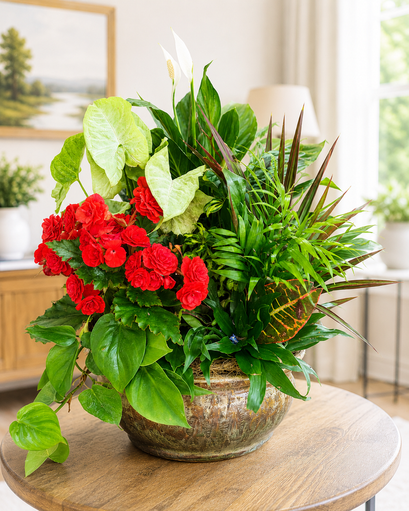Premium sympathy plant garden in decorative pottery available for local delivery in Gilbertsville, PA