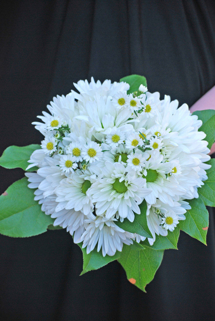 Bouquet- Daisy Mum Bouquet
