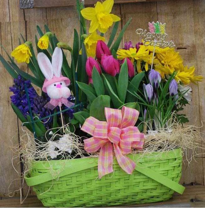 Basket of Spring Bulbs & Flowers