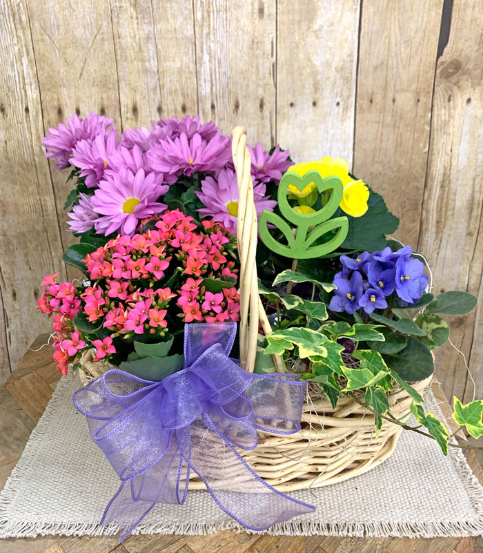 Garden of Flowering Plants Basket