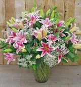 Lilies Arranged