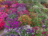 2 Decorated Hanging Baskets