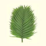 Emerald Palm Leaves