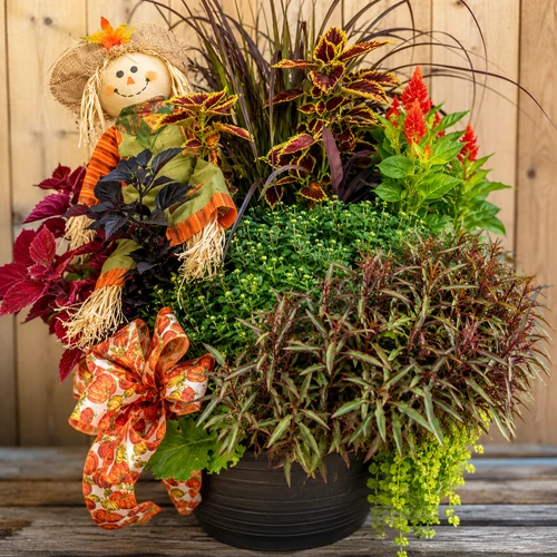 Decorated fall planter with seasonal flowers, grasses and autumn decorations