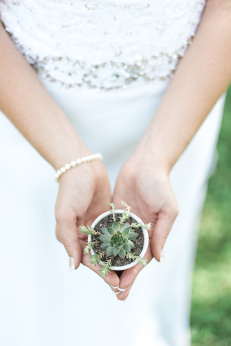 Wedding Previews