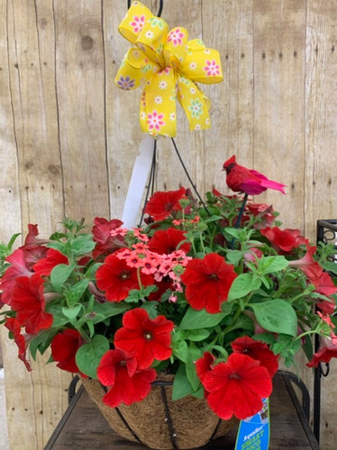 Moss Hanging Basket
