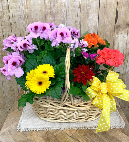 Garden of Flowering Plants Basket
