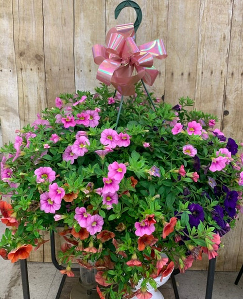 2 Decorated Hanging Baskets