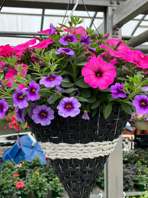 Decorated Cone Hanging Basket