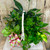 Grande Dish Garden in Basket