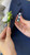 Boutonniere- Gerbera Daisy 