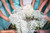 Wedding Previews