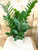 Modern Foliage Plant