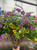 Decorated Cone Hanging Basket