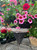 Decorated Cone Hanging Basket