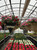 Decorated Cone Hanging Basket