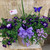 Decorated  Planter