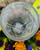 Fall Crackle Glass Arrangement