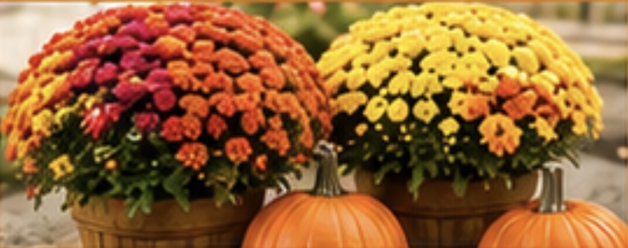 Flower fundraiser
