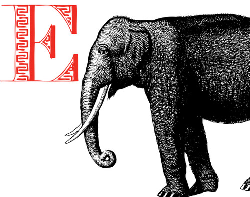 Alphabet Print E Elephant