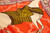 ARABIAN HORSE BANDANA