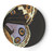 Metamorphosis Melamine Dinner Plates – Set of 4 Butterfly Plates, 11"