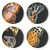 Metamorphosis Melamine Dinner Plates – Set of 4 Butterfly Plates, 11"