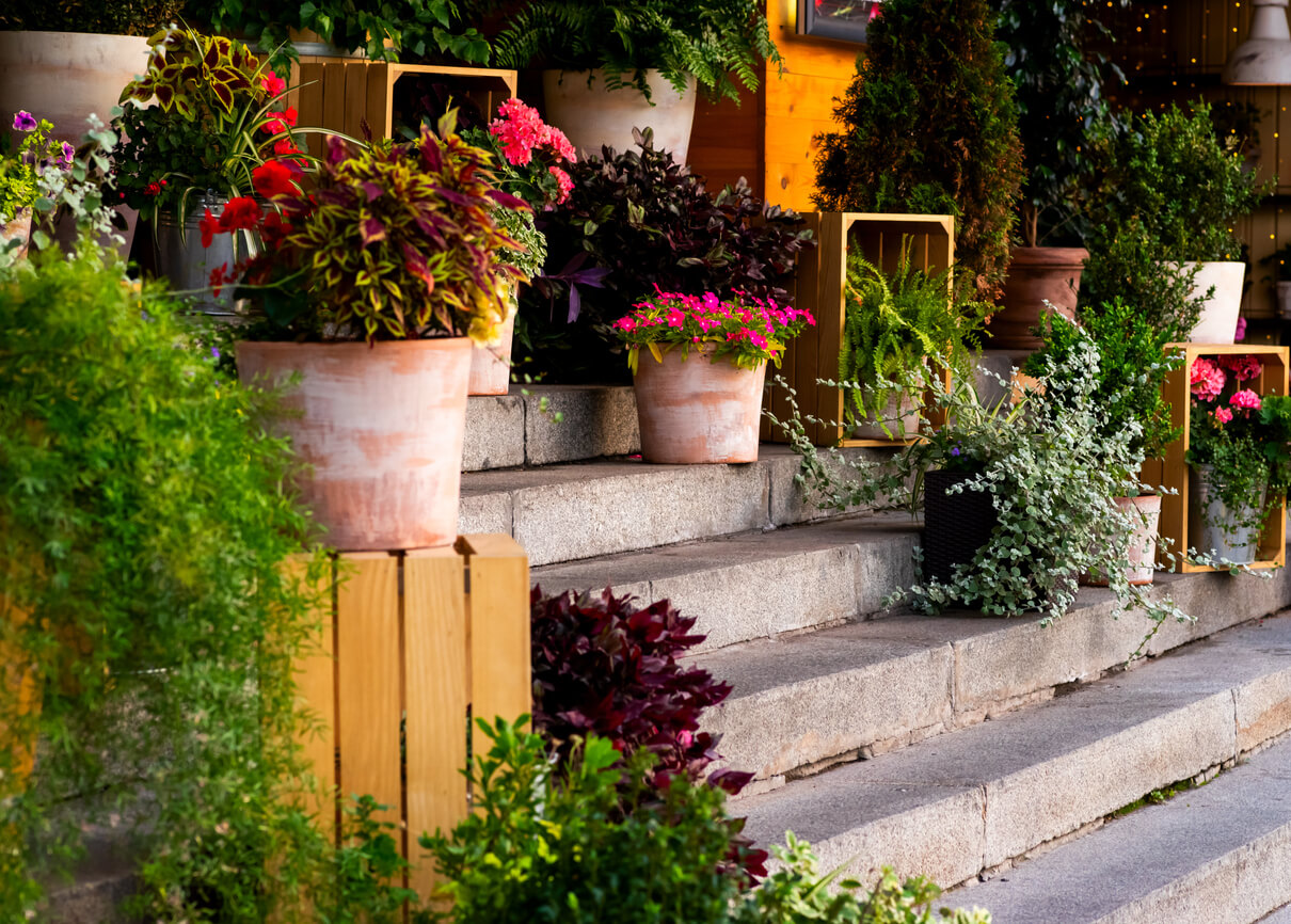 Enhance Your Restaurant Patio with Low Maintenance Plants Enhance Your Restaurant Patio with Low Maintenance Plants