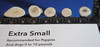 Extra Small Whole