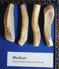 Medium Splits