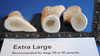 Extra Large Whole
