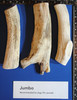 Jumbo Whole