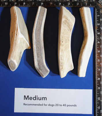 Medium Splits