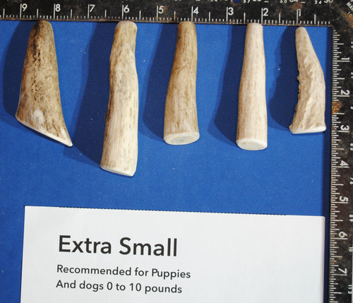 Extra Small Whole