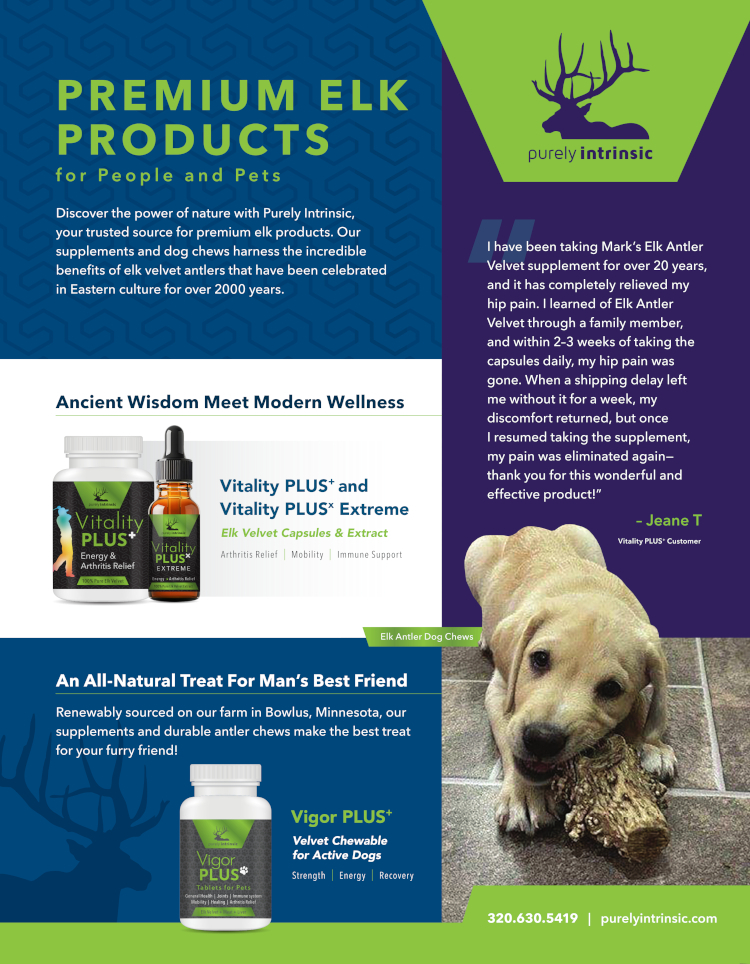Newsletter 